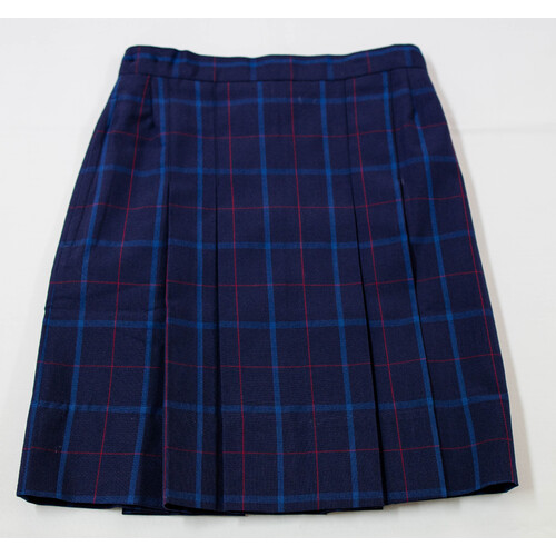 Girls Formal Skirt [Size: 8]